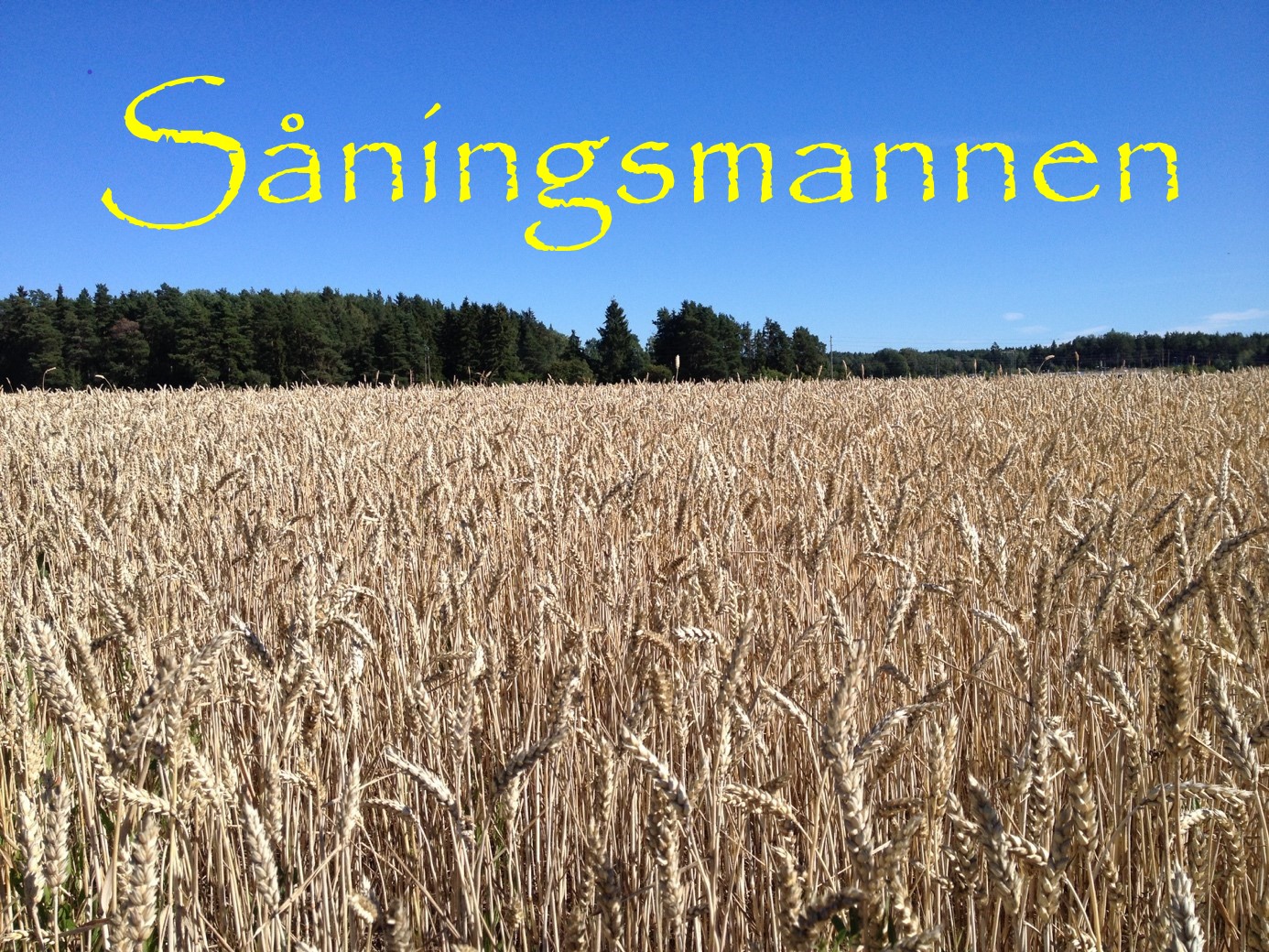 Sädesfält med blå himmel och texten Såningsmannen